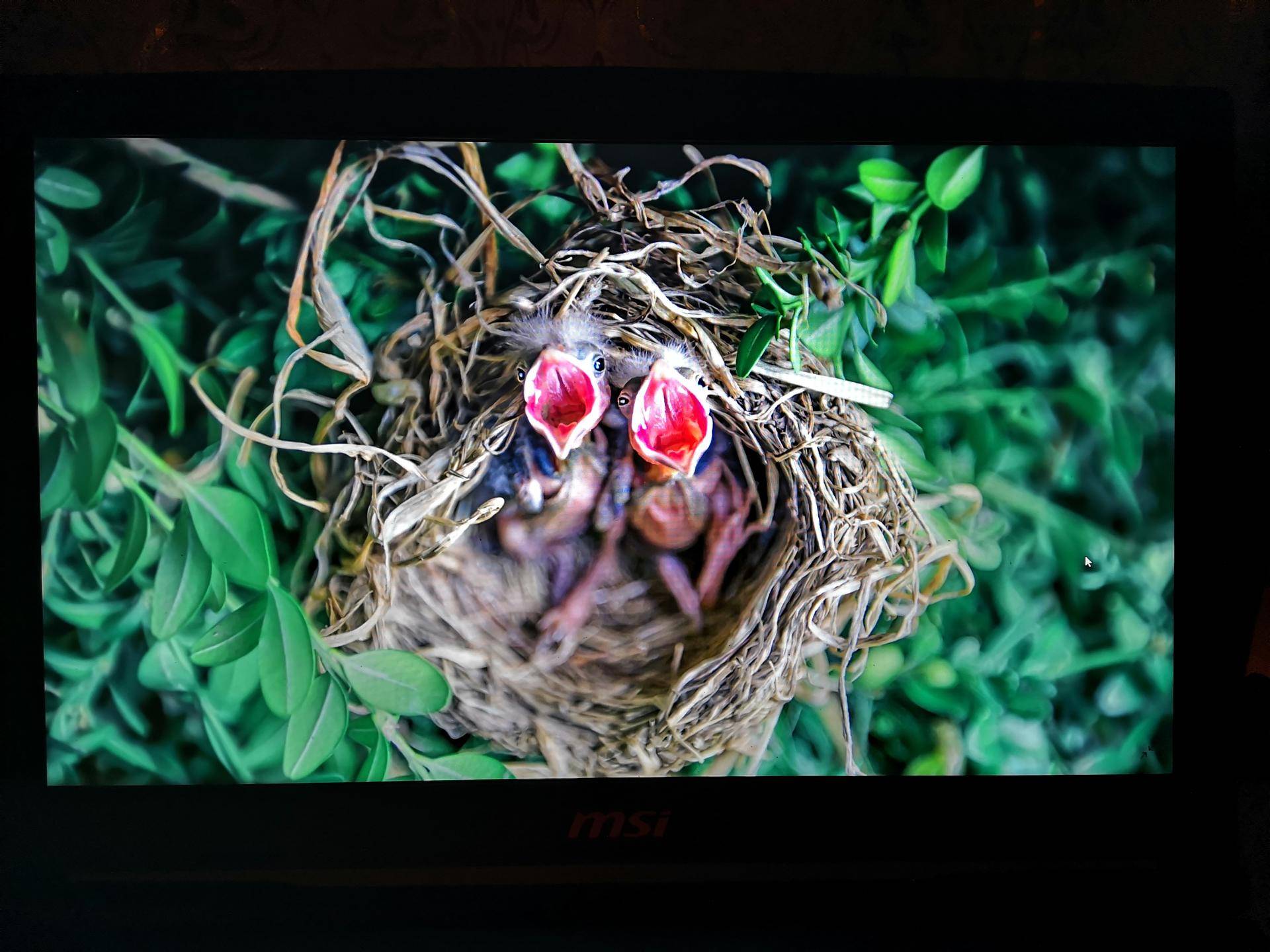 微星gl63rtx2060测评,微星gl63游戏测评