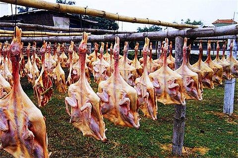 深圳鹏城花园,深圳市鹏城国际小区