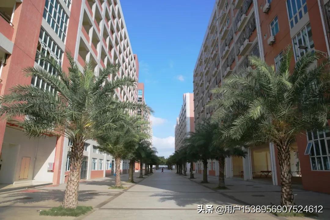 湛江市少林学校招生电话,湛江市少林学校是正规高中吗