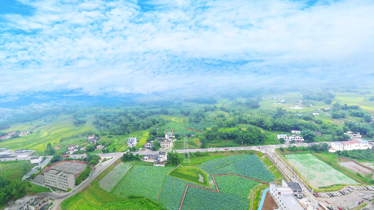 四川旅游踩坑的地方,贵州旅游踩坑