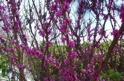 北京这38个森林公园您先收藏了!定个小目标,有空儿玩个遍!