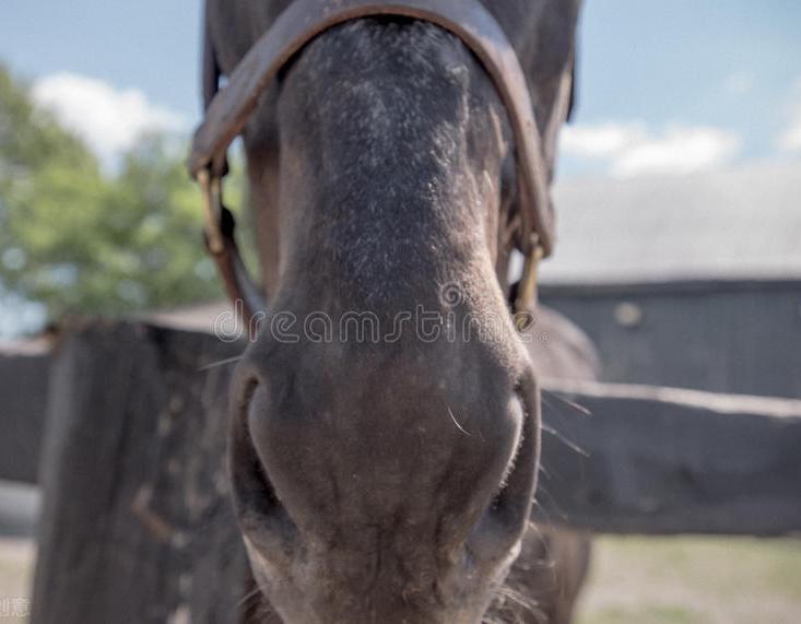 鼻头红酒糟鼻怎样治,治酒糟鼻最简单方法