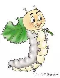 害怕养蚕,不要轻易养蚕