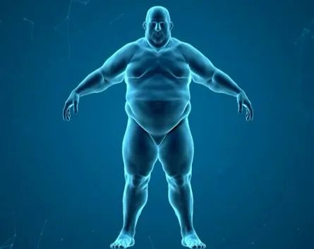 这八种网友疯传的最有效减肥方法,这3种减肥方法效果显著值得一试