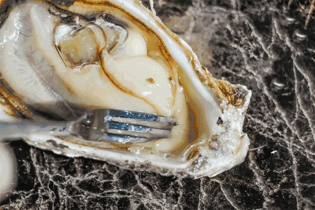 鲜嫩多汁网红的高压锅生蚝,蒜蓉生蚝罐头即食乳山生蚝