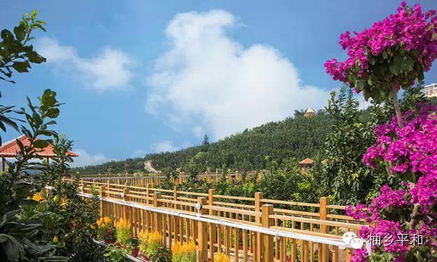 平和个人资料简介,平和的个人资料