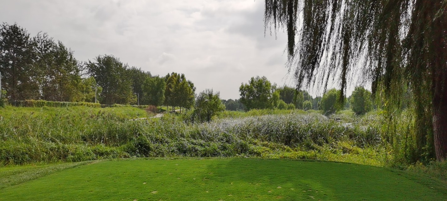 白洋淀高尔夫运动休闲公园,河北美庐高尔夫球场