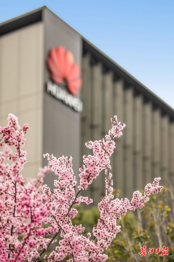 360度全景旋转观看直播,24小时看武汉直播