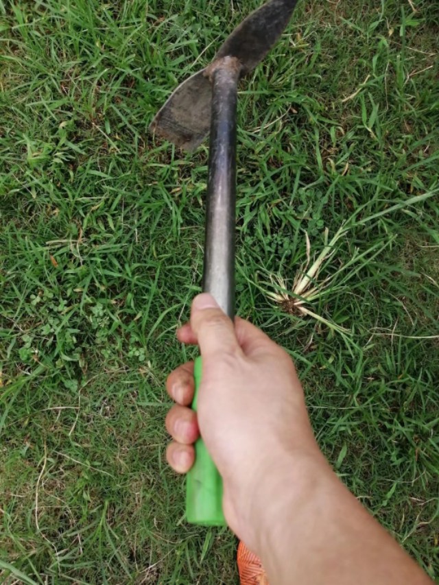 漫漫踢球路：疫情后的草根足球艰难前行，行进了派出所！