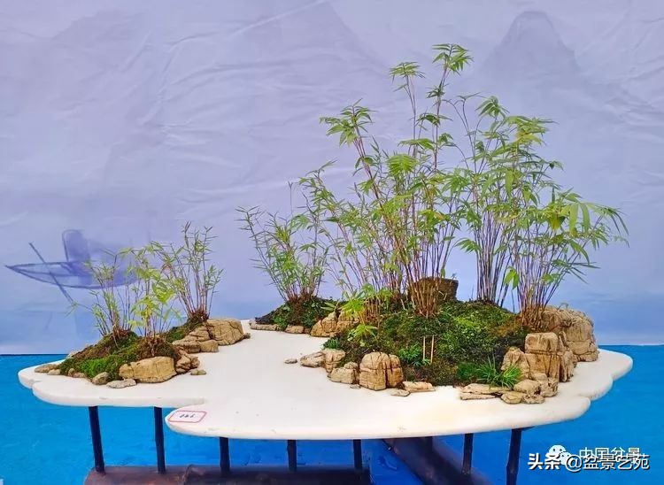 北方耐寒矮化竹子,竹子矮化的最佳方法