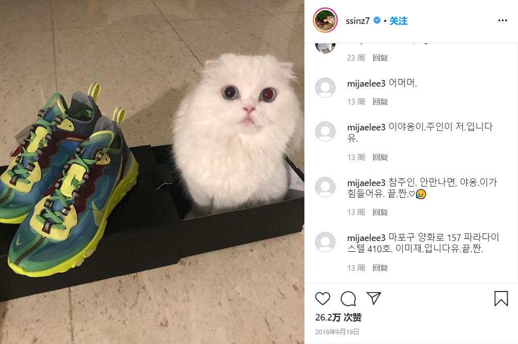 意想不到的女鞋,韩国女星朴信惠代言的鞋