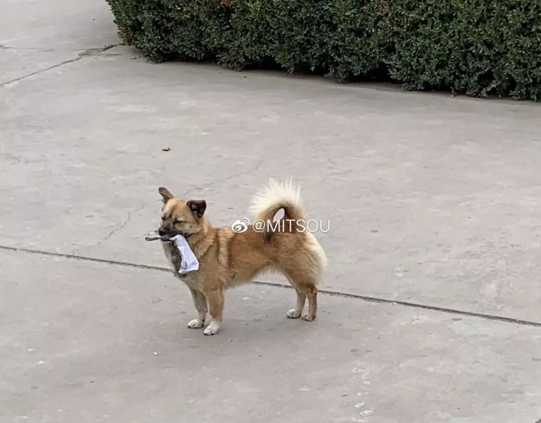 闉嬪瓙琚滃瓙琚埆浜哄伔,闉嬪瓙琚滃瓙琚伔