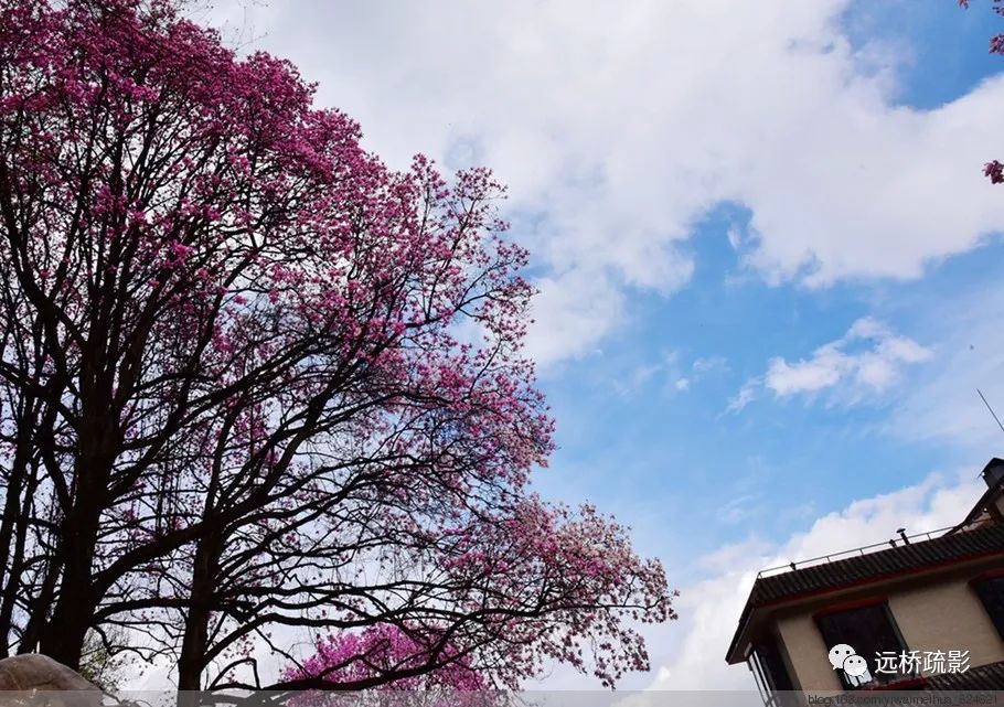 药王谷里觅旧迹（原图文）