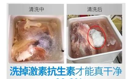 活氧洗菜机真的能去除农药吗,蔬菜去除农药残留洗菜机