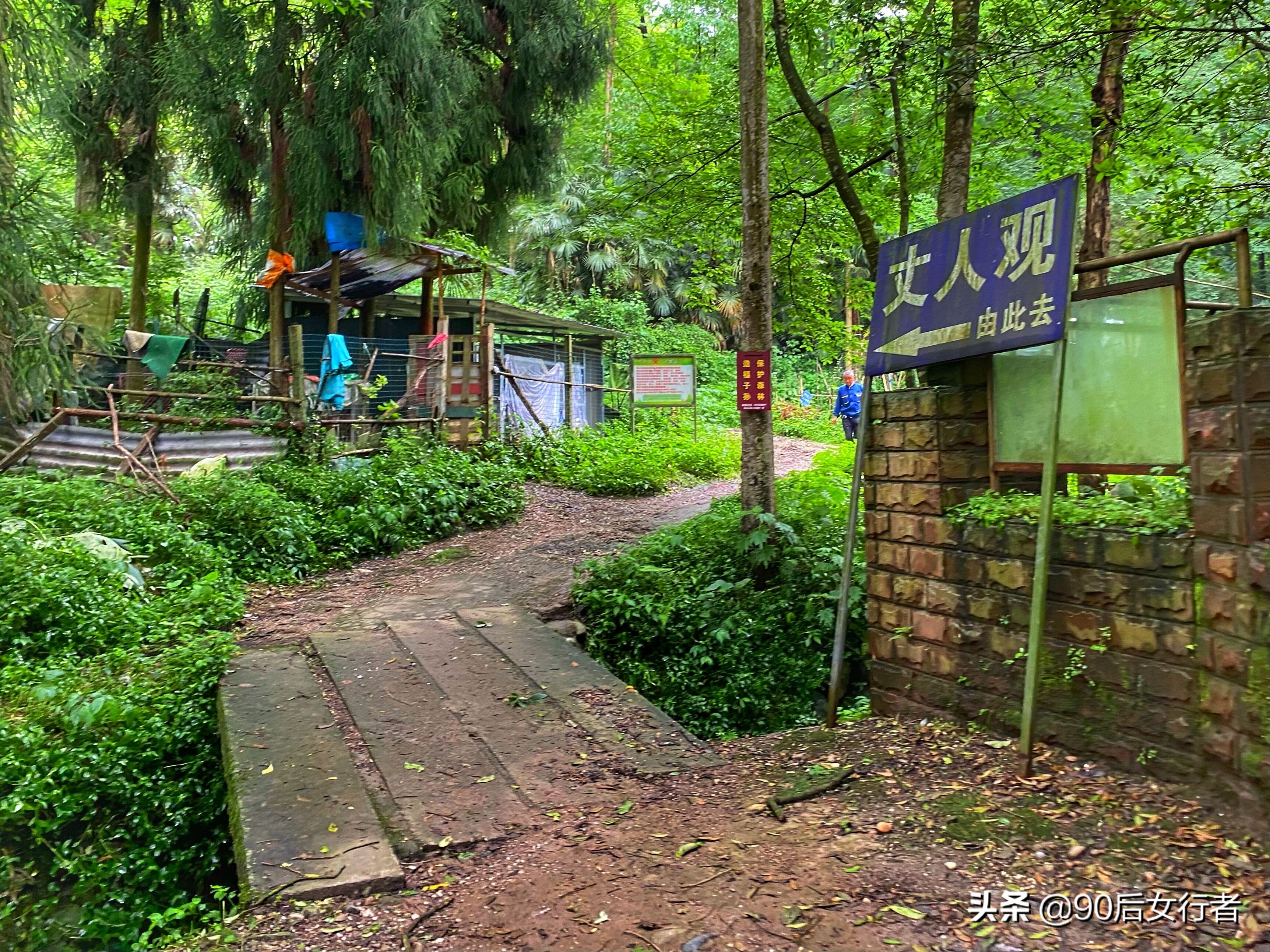 探寻青城山,探秘青城山神仙洞怎么走