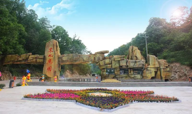 走向我们的小康生活视频如何制作,走向我们的小康生活中国画