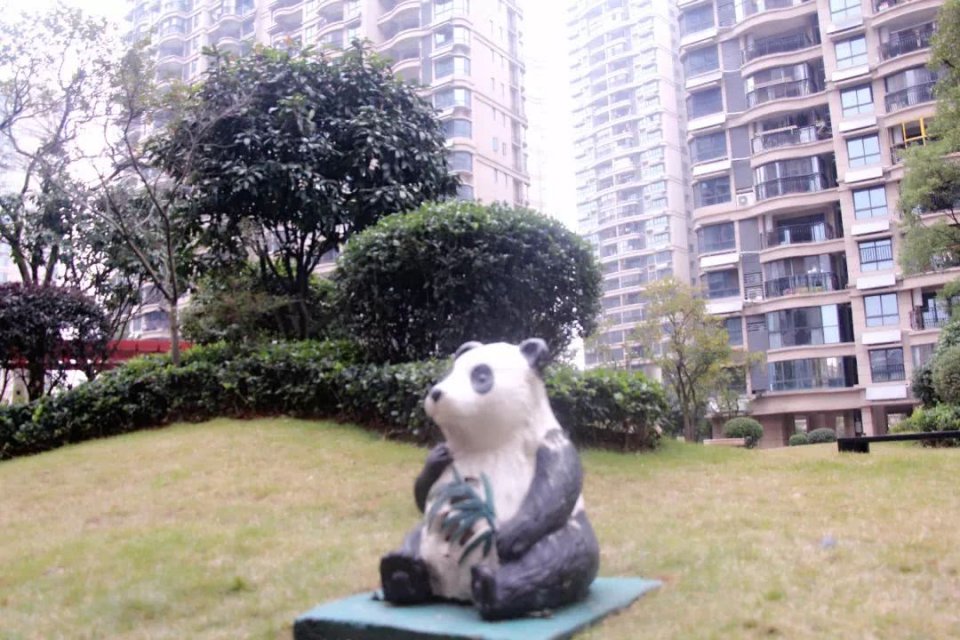 碧桂园品质宣言,宜春市碧桂园精装修