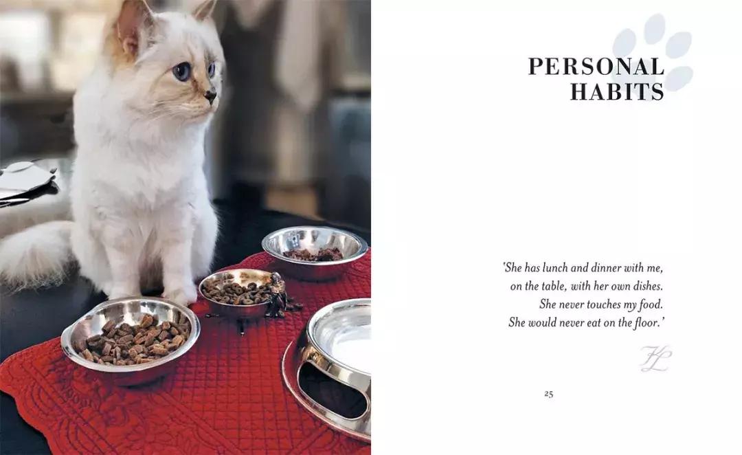 大熊猫一年可以赚钱几个亿,一只猫一年挣3000万