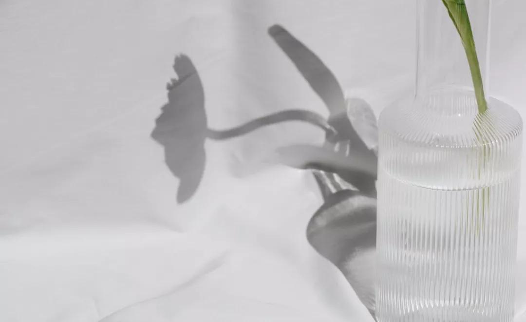 余生遇一知音此生足矣,美文真正的幸福是余生有知音