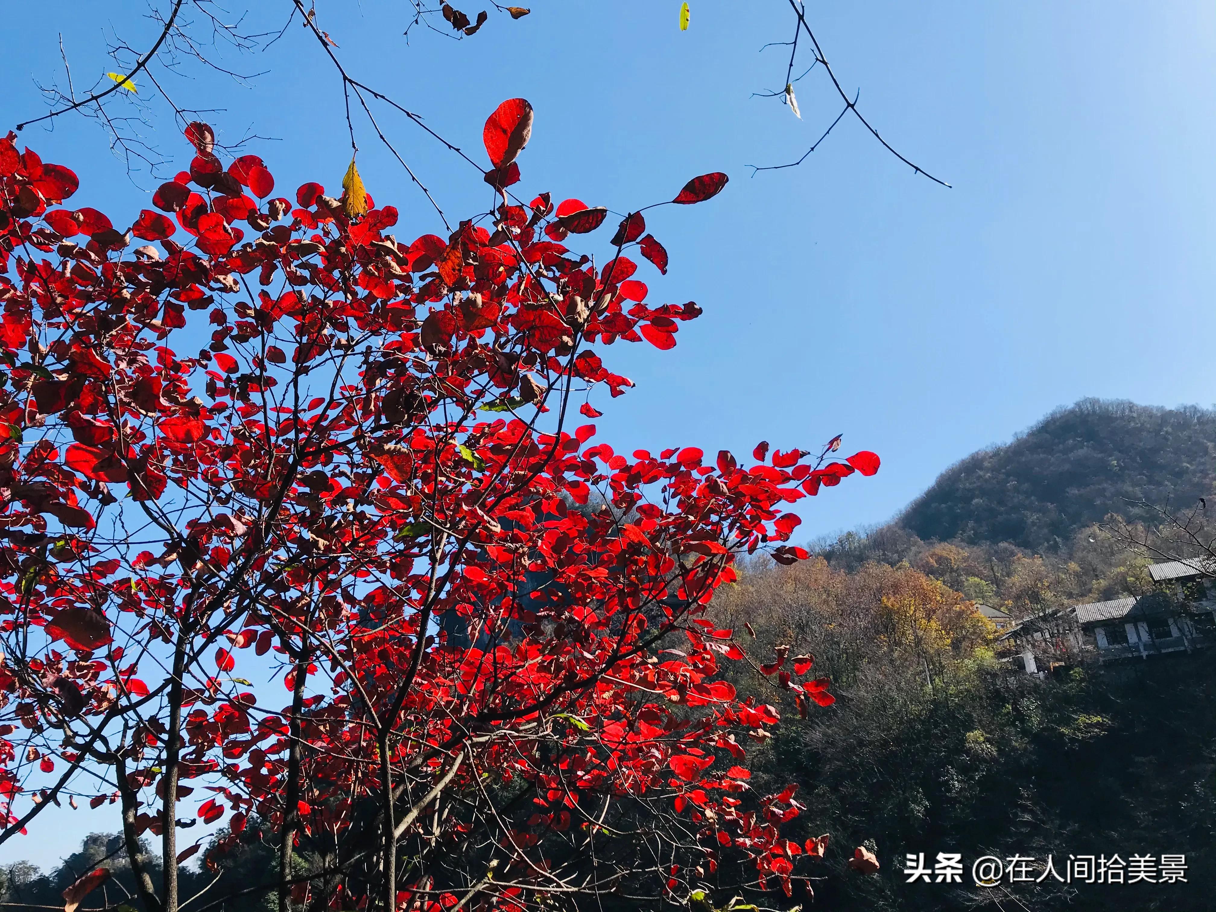 湖北宜昌柴埠溪大峡谷风景区,五峰柴埠溪大峡谷游客