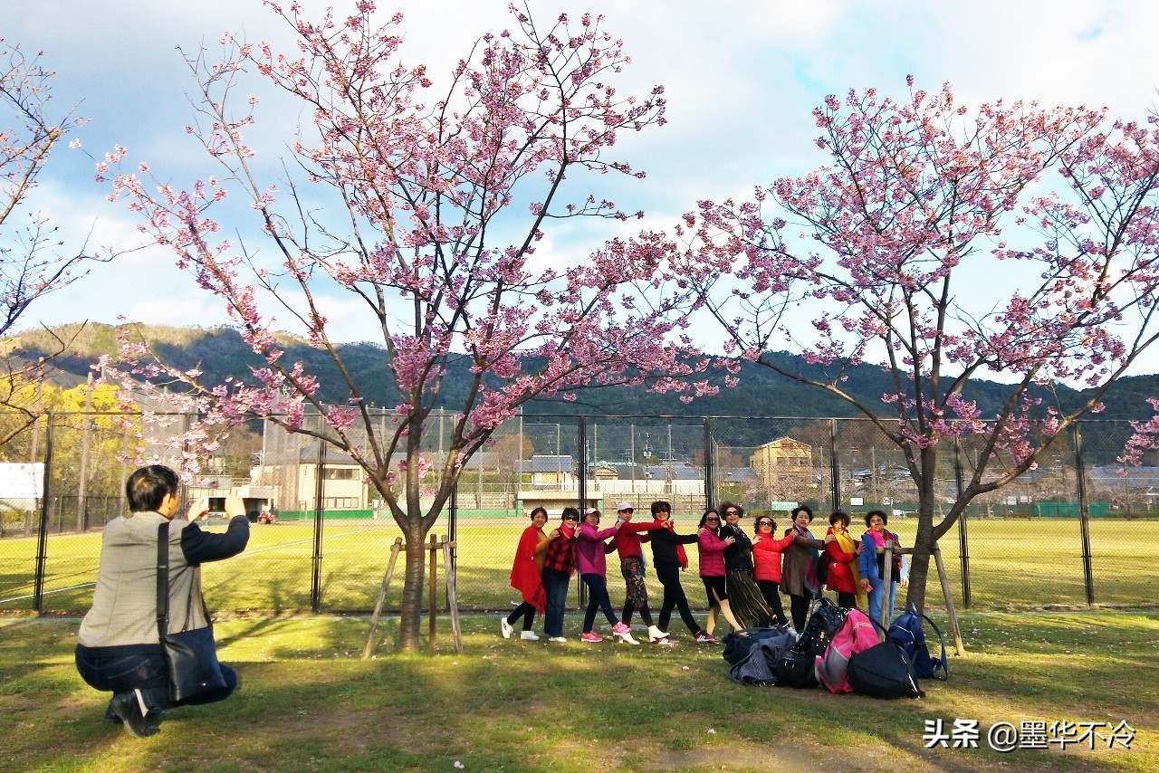 京都一眼千年的美景,京都永恒的美