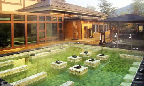 顶级温泉度假酒店有哪些,温泉度假村都有哪些泡池
