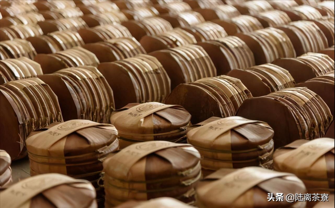 行业巨无霸?城市精品仓?深圳能成为普洱茶界的巨头吗?