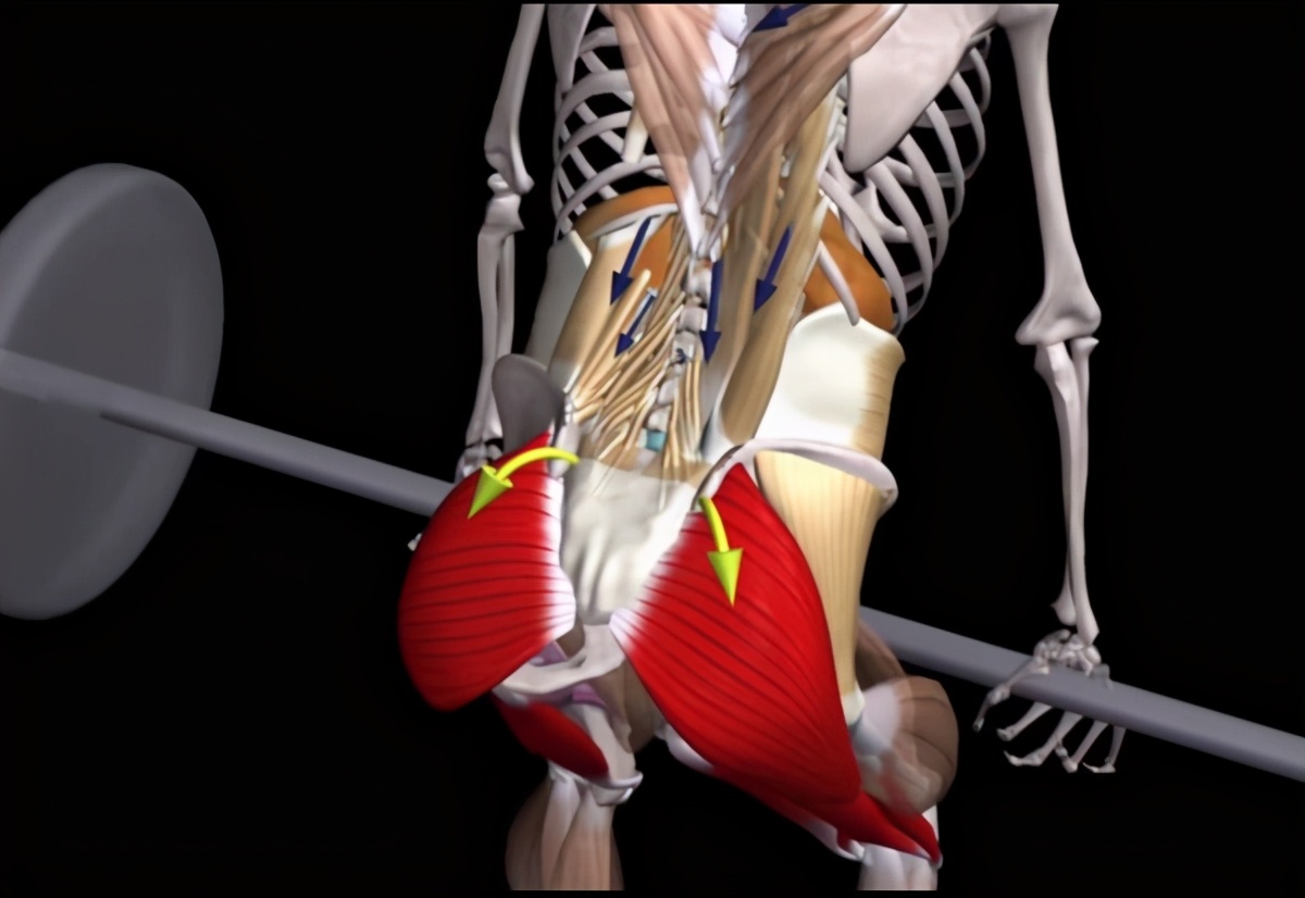 久坐后腰骶骨疼的厉害,久坐之后躺在床上腰骶部痛