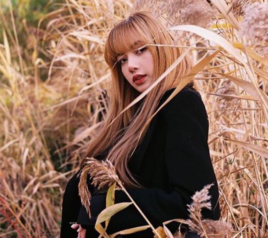 韩网友评lisa,韩网评论lisa