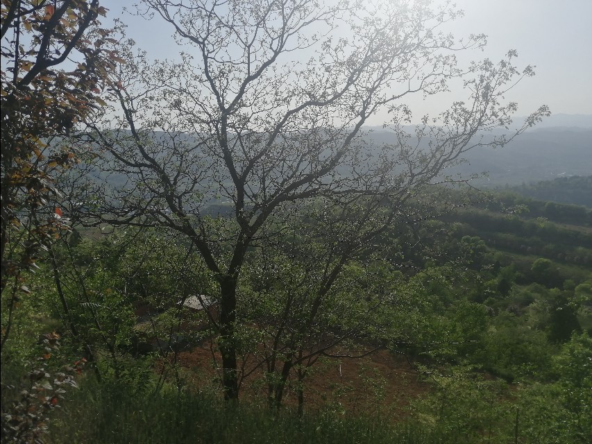 190x猛鸷骑行突然开不了了,猛致190骑行测评