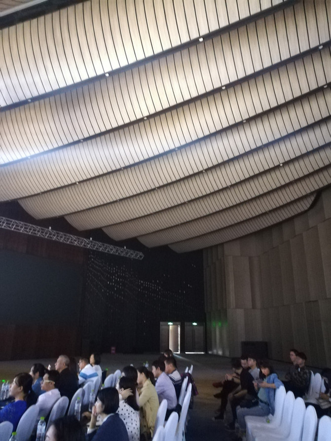 南宁会展豪生大酒店设计,广西南宁国际会展中心豪生大酒店