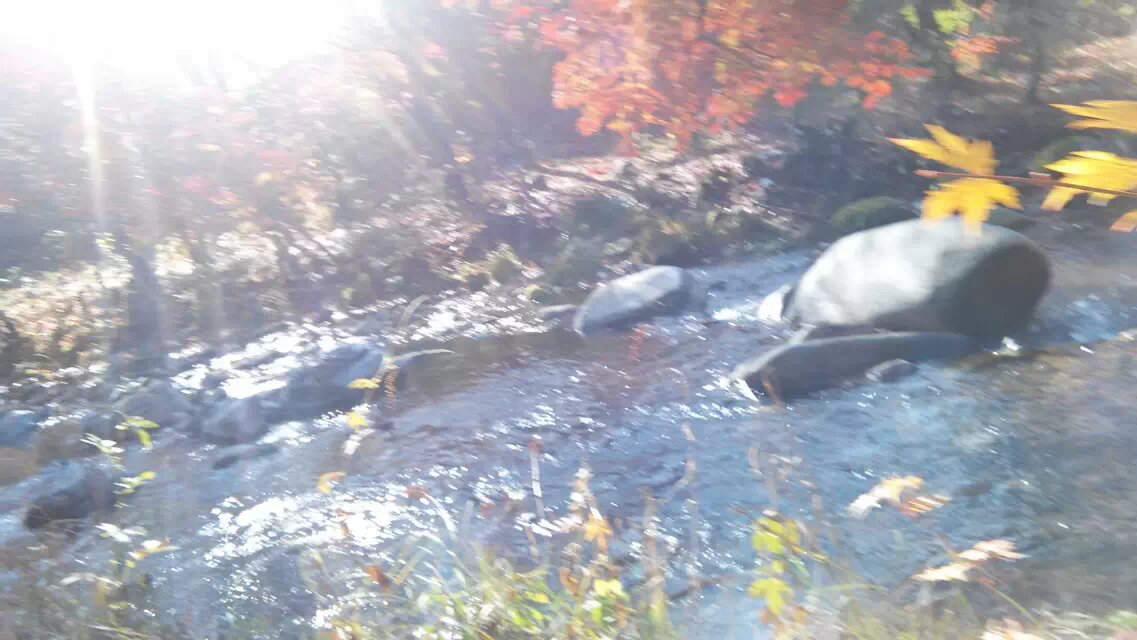 本溪画家村洋湖沟风景,本溪画家村洋湖沟露营