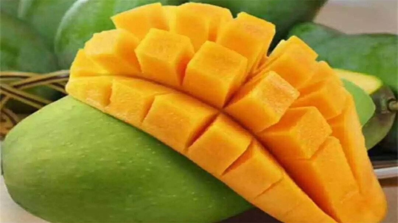 越南青芒大量滞销，都烂在地里果农也不敢采，中国为啥不愿买呢？