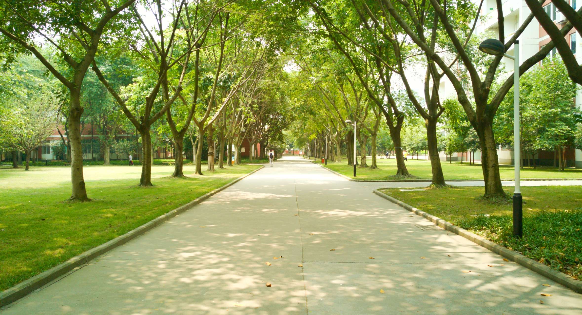 送她红围脖的男孩子，是个贼