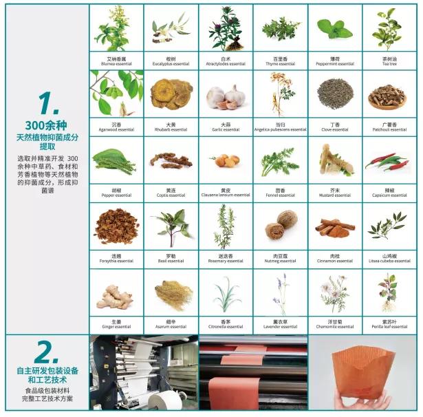 上海亚果会富平苹果,上海11月8日-10日亚果会水果展