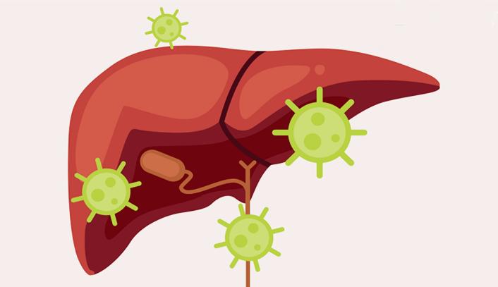肝占位结肠癌,多发性肝占位