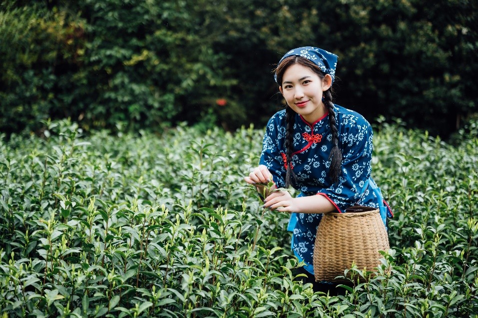 韶关善美直播,善美韶关现场直播活动