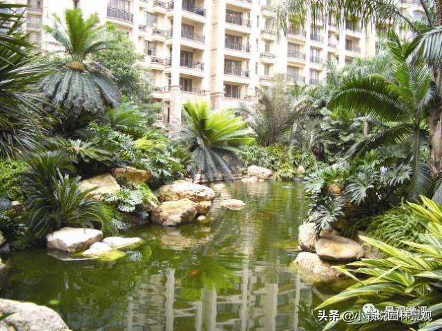 住宅小区植物配置方案,植物种植小技巧一览表图