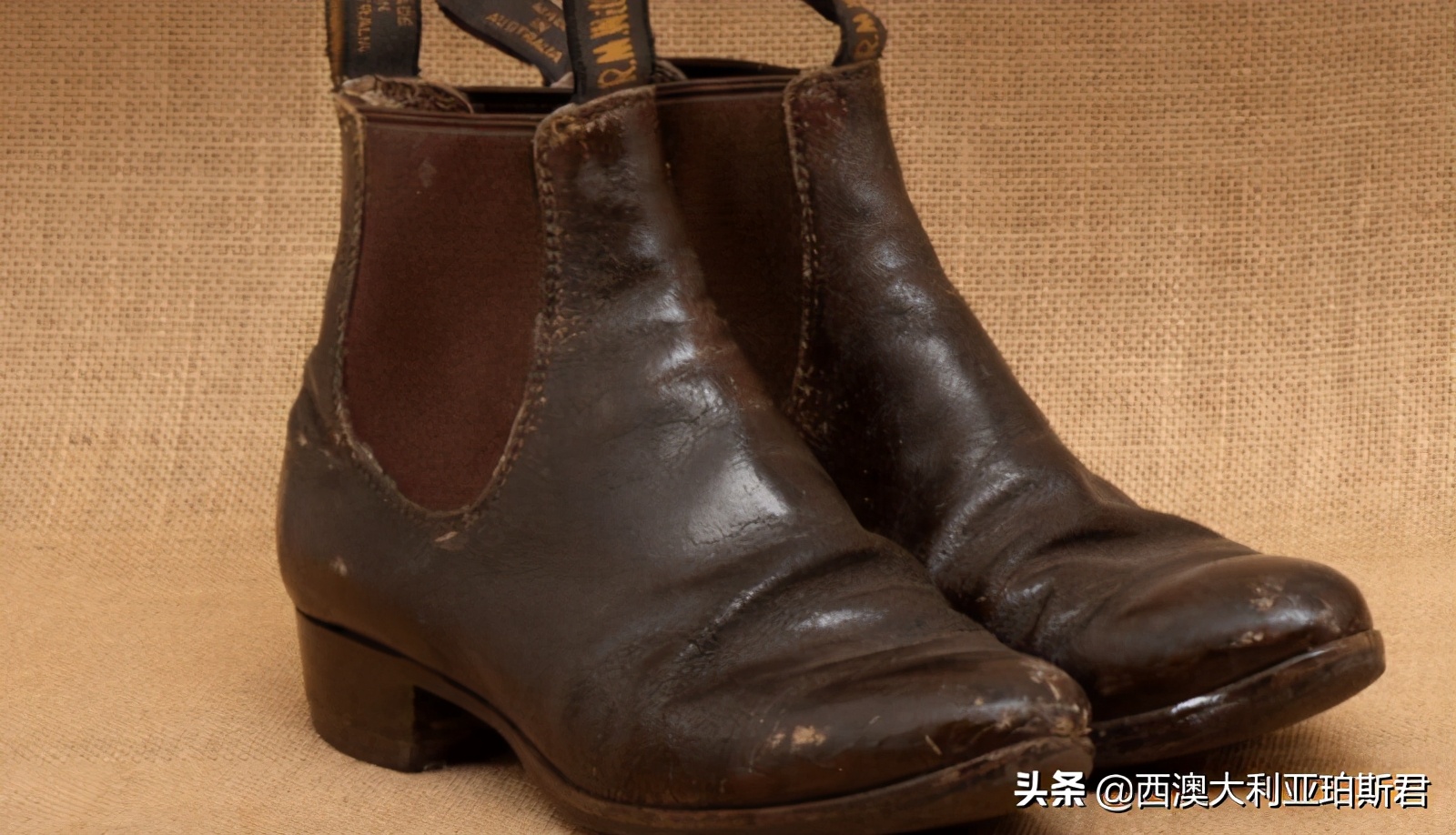 西澳矿业大亨出手收购，知名鞋服品牌回归！澳人购买国货热情大增