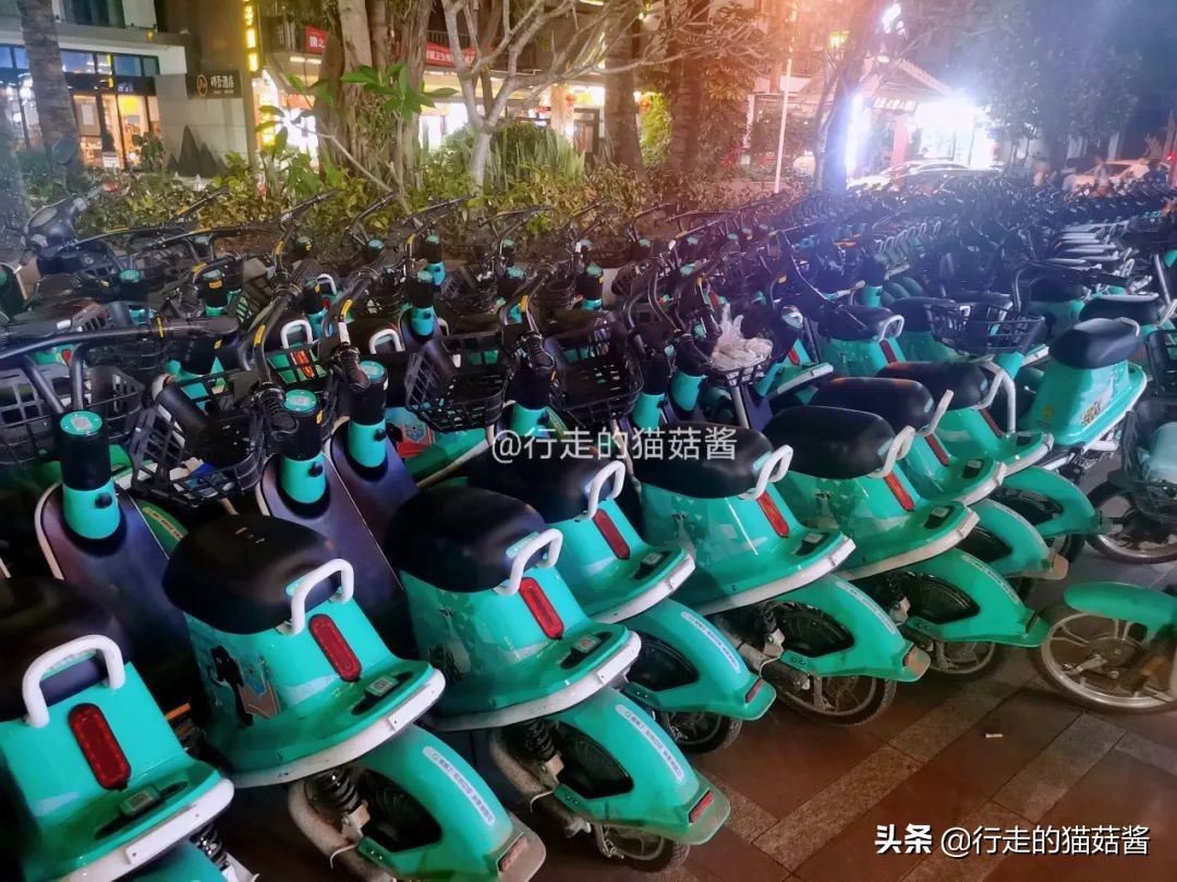 三刷西双版纳留给我的12个印象，聊聊这个宜居的边境小城