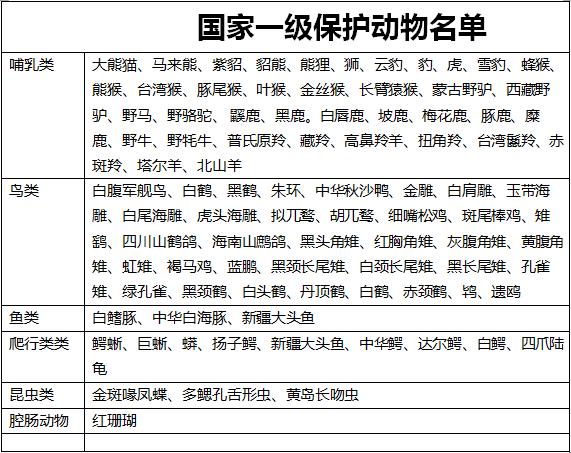 猫头鹰传言真的假的,猫头鹰不祥