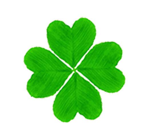 什么样的海参是比较好的海鲜,什么样的海参质量好有养分