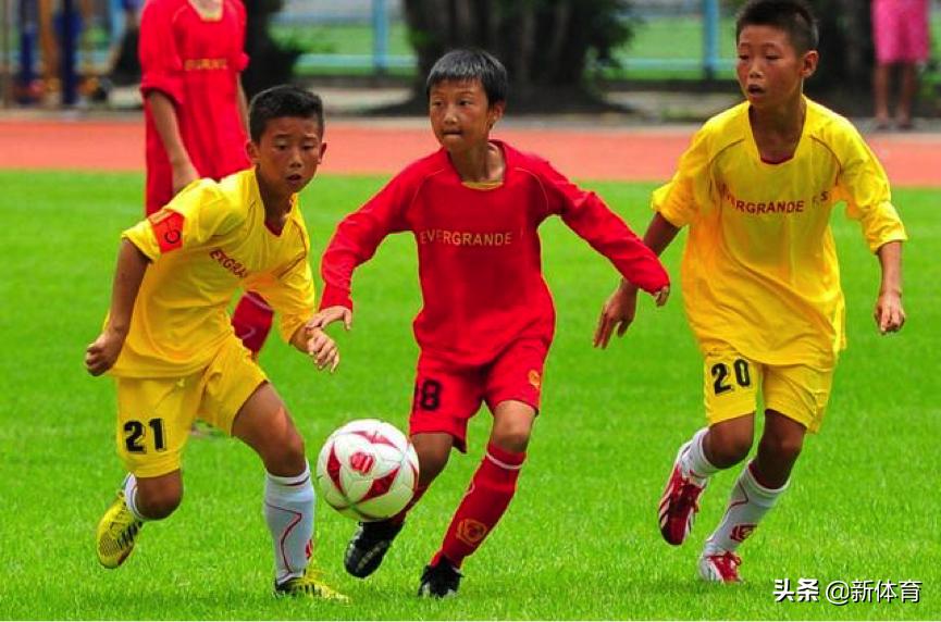 国足成绩上不去根子在青训历任足协主席有谁认真抓过？