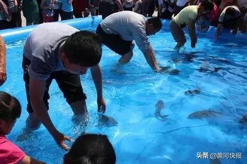 鐏靛疂娑堝閬挎殤鏃呮父,鐏靛疂娑堝鏃呮父