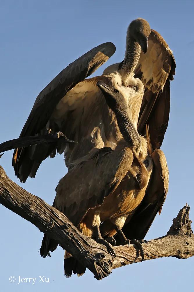 情人节，就该和爱的人*爱做**做的事