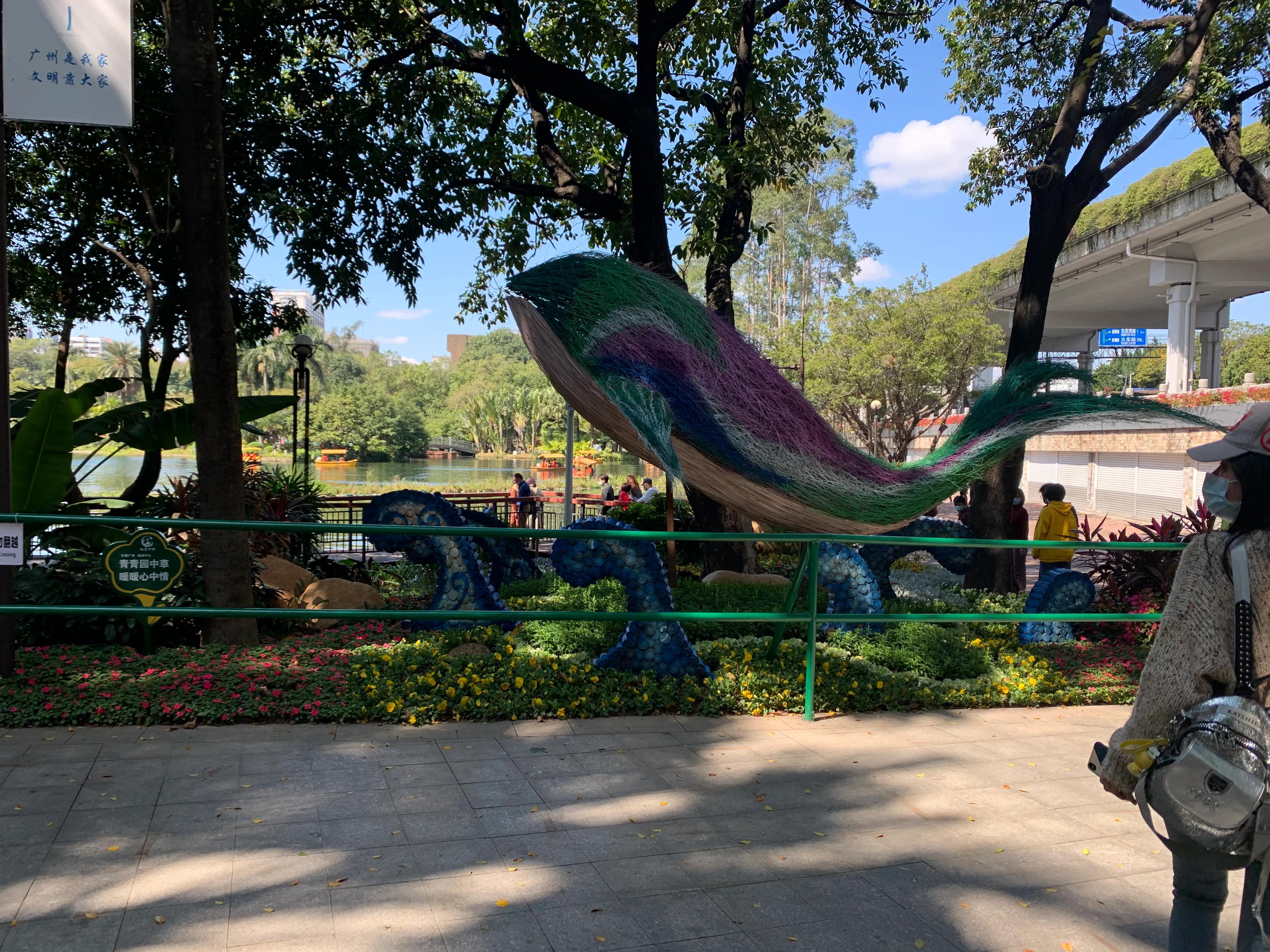 春节期间的越秀公园,越秀区元旦游玩