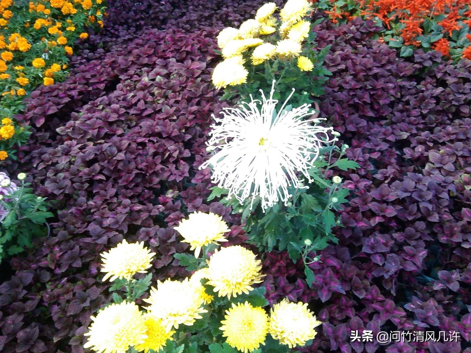 滕州历史文化古城,滕州古城在什么地方