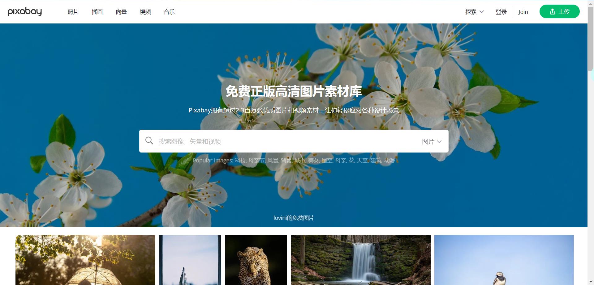 平面设计师提升技能免费网站,设计师必看的十大网站排行榜