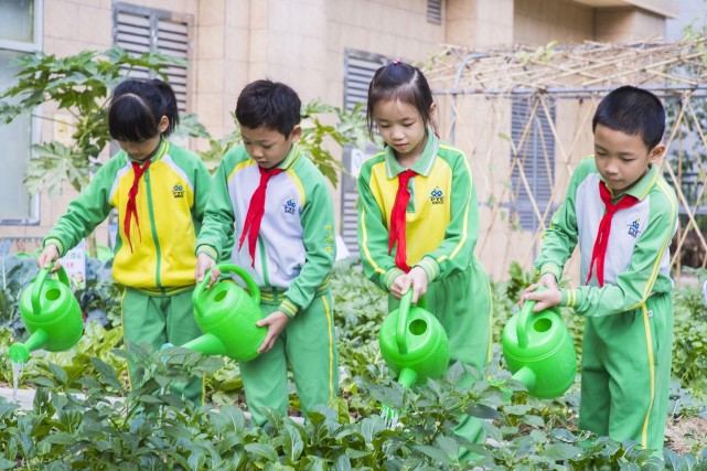 广州天成小学怎么样,广州市天成小学