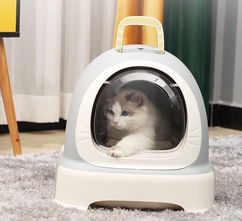 养猫必买哪几样东西 (新手养猫需要买的用品)